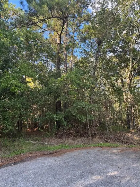 Section 16 Township 9 S West Pearl Drive, Slidell, LA 70461 - #1
