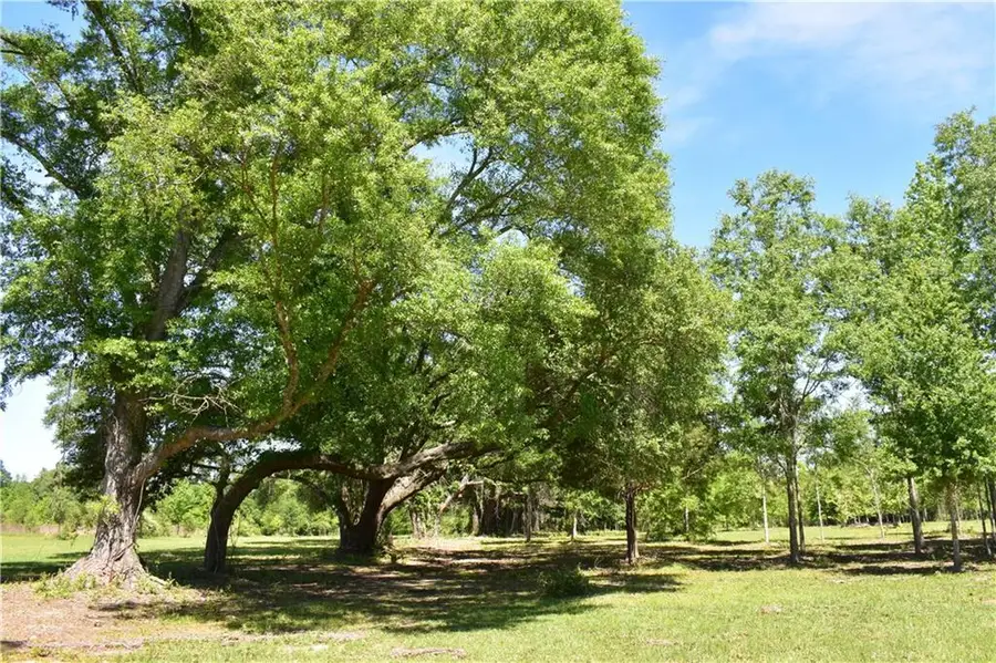 00 Ebb Guillot Road, Pearl River, LA 70452 - Image #3