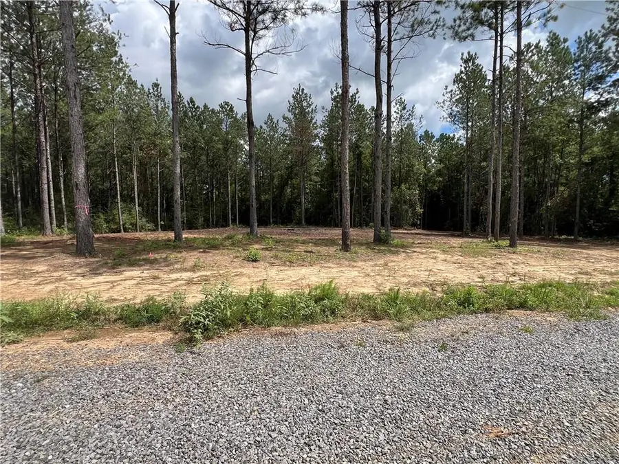 Lot 4 Hwy 25 Highway, Franklinton, LA 70438 - #2
