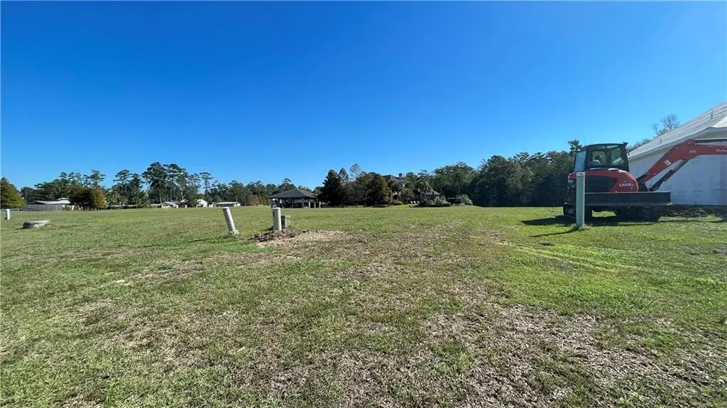 21530 Blue Marlin Drive, Springfield, LA 70462 - #1