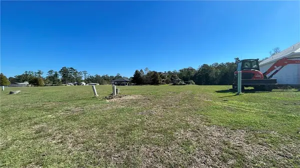 21530 Blue Marlin Drive, Springfield, LA 70462