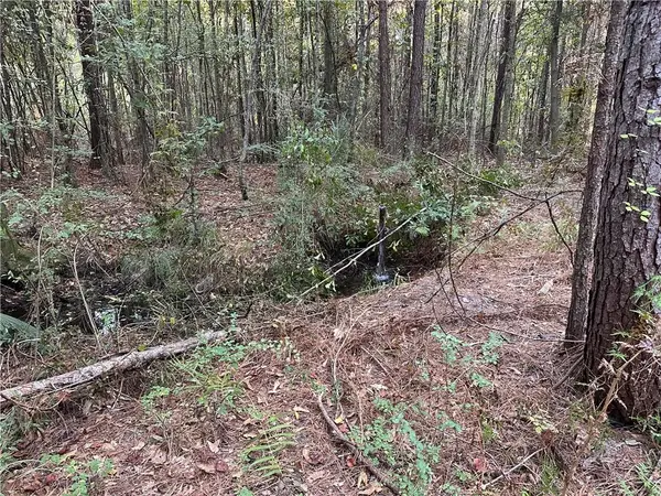 Cow Lane, Ponchatoula, LA 70454