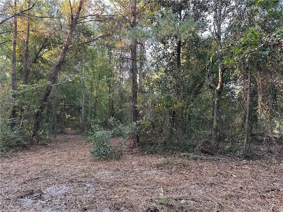 Cow Lane, Ponchatoula, LA 70454 - Image #3