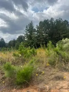 0 Ocho Rios Drive, Pineville, LA 71360 - #3