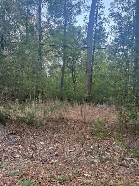 Will Richardson Road, Ponchatoula, LA 70454