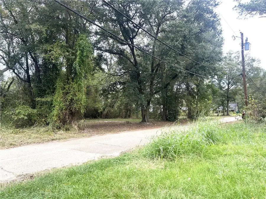 104 E Newman Street, Hammond, LA 70403 - #2