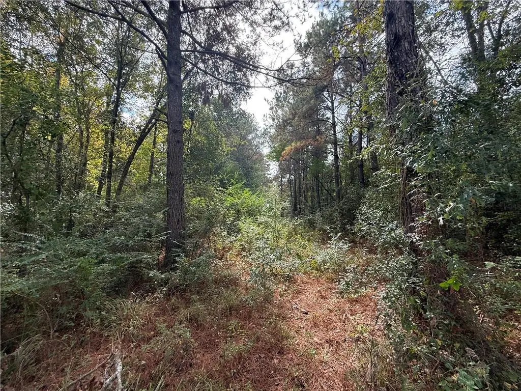 10 Acres Domiano Lane, Hammond, LA 70401 - #1