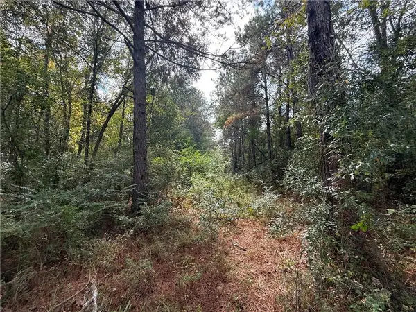 10 Acres Domiano Lane, Hammond, LA 70401