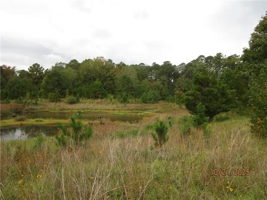 740 Mary Barron Road, Pollock, LA 71467 - Image #2