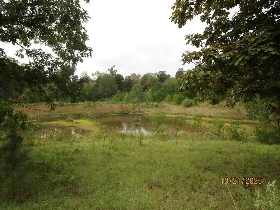 740 Mary Barron Road, Pollock, LA 71467 - Image #3