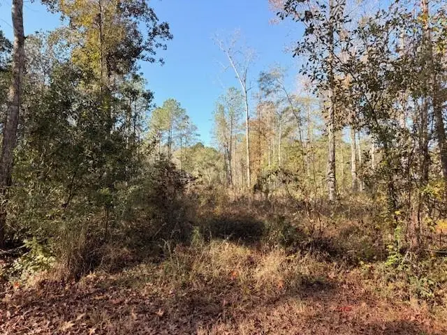 42217 Pasqua Road, Ponchatoula, LA 70454 - Image #1