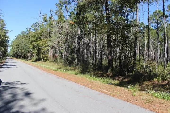 Old Gainsville - Pearlington Road, Pearlington, MS 39572 - #1