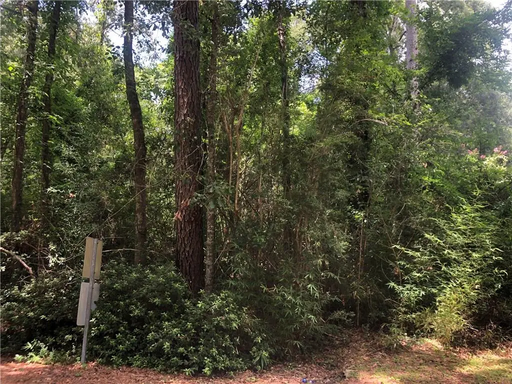 Oak Street, Pearl River, LA 70452 - #1