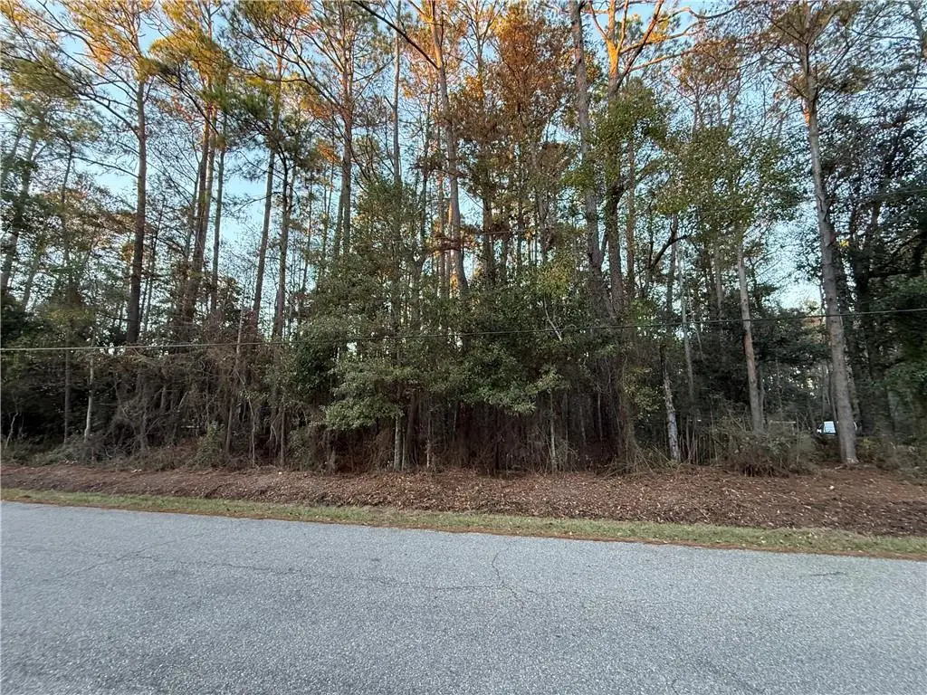 TBD Delery Street, Mandeville, LA 70471 - #1