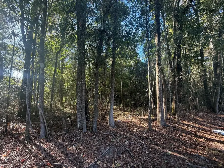 29100 La-16 Highway, Sun, LA 70463 - Image #2