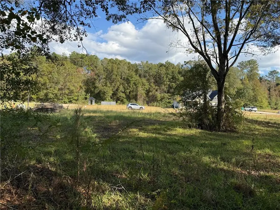 43485 Springwood Way, Hammond, LA 70401 - #2