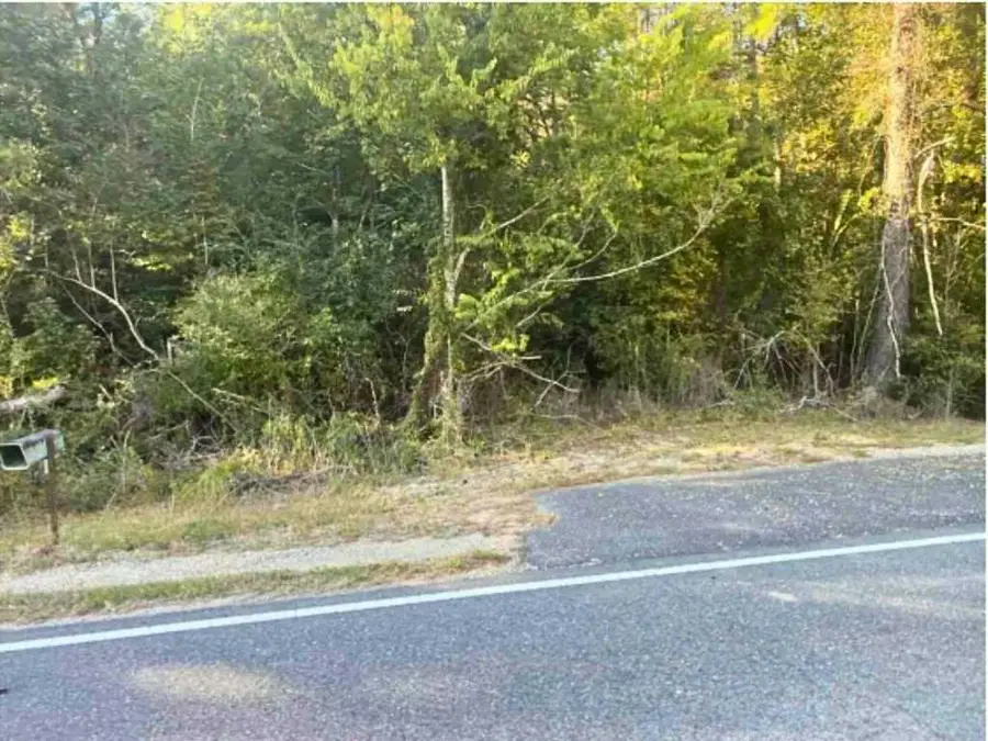 24075 Blood River Road, Springfield, LA 70462 - Image #2