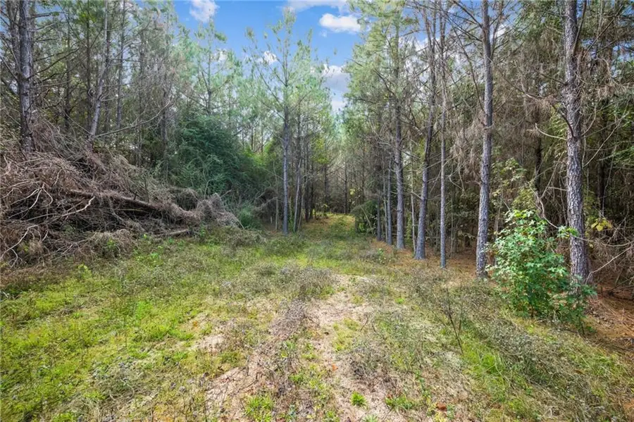 Highway 62, Franklinton, LA 70438 - #3