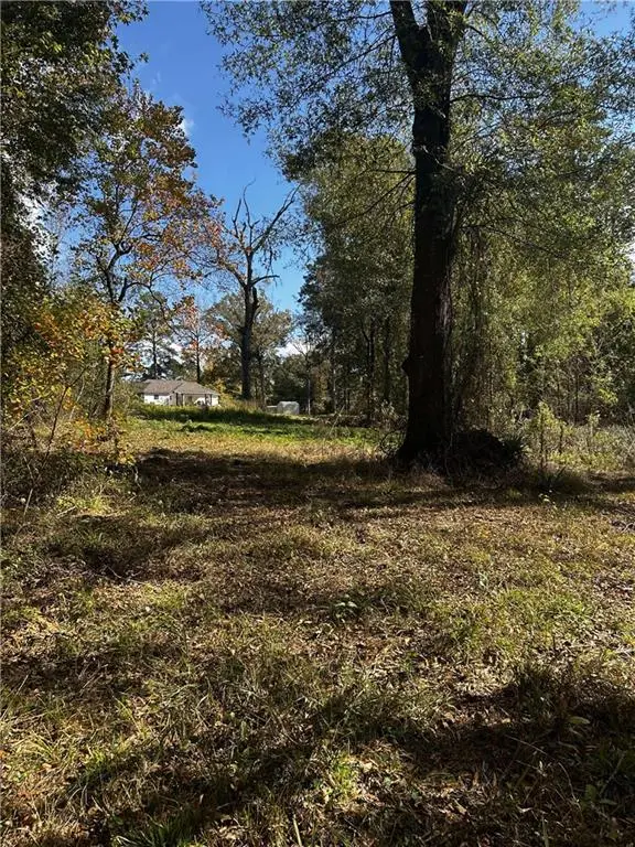 4357 Rigolette Road, Pineville, LA 71360 - #3