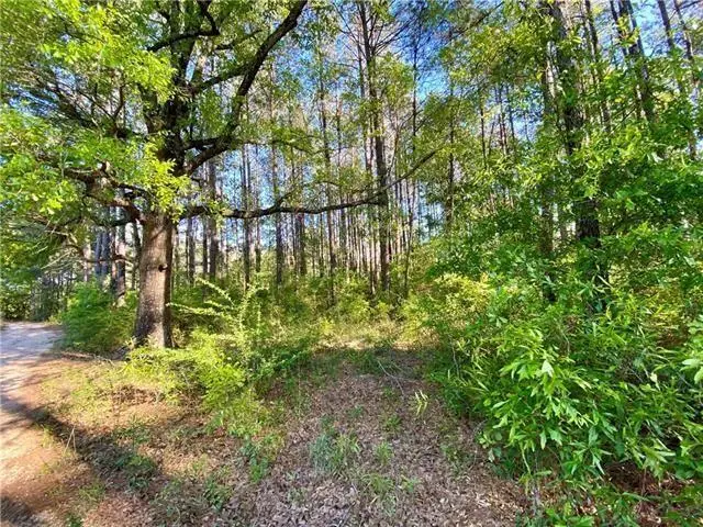 17197 &17203 Skeet Statham Road, Bogalusa, LA 70427 - #2