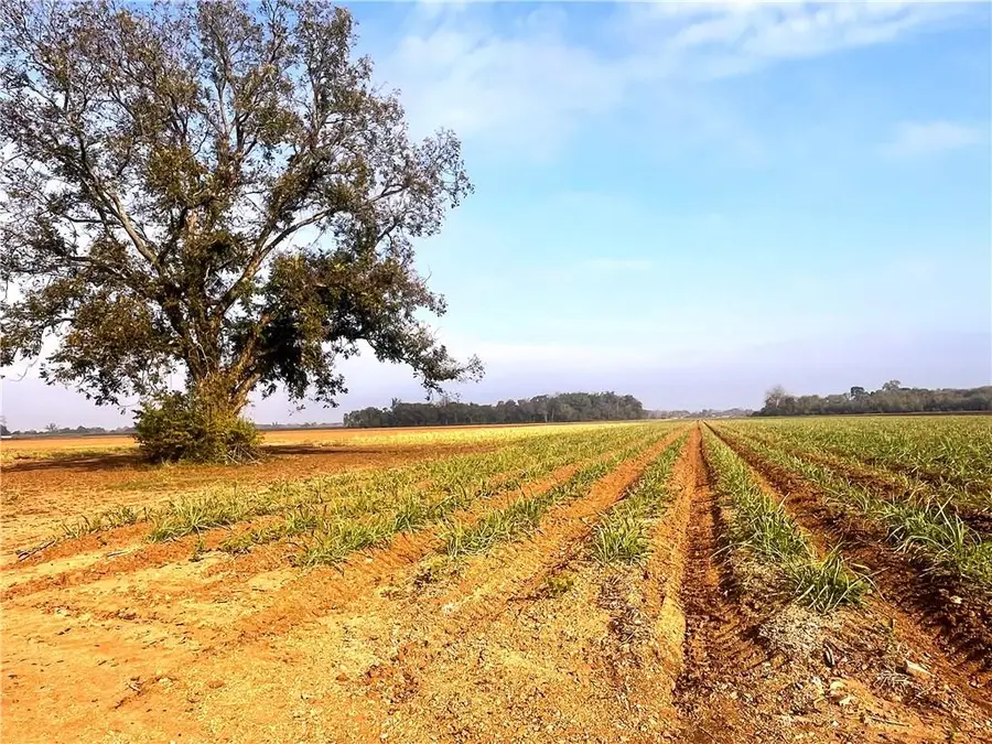 596 Crackville Road, Cottonport, LA 71327 - #3