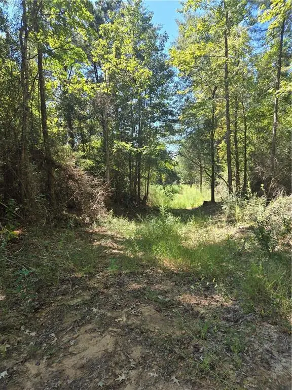 Riser Road, Sikes, LA 71473 - #2