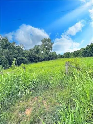 0 Eddie Williams Avenue, Alexandria, LA 71302 - Image #3