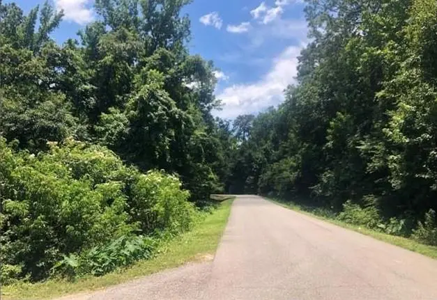 Lot 8 Penns Chapel Road, Mandeville, LA 70471 - #3