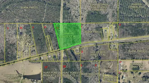 15.4 Acres Hwy 107 Highway, Pineville, LA 71360