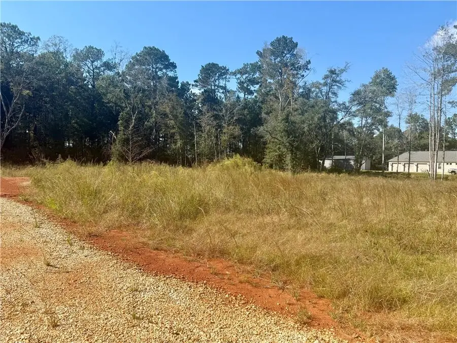 Lot 23 Spirit Of The Forest Lane, Folsom, LA 70437 - #2