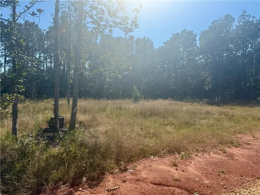 Lot 23 Spirit Of The Forest Lane, Folsom, LA 70437 - #3