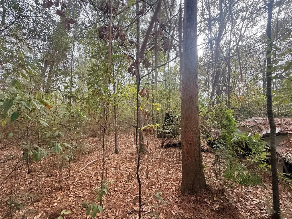 16040 W Murray Road, Ponchatoula, LA 70454 - #1