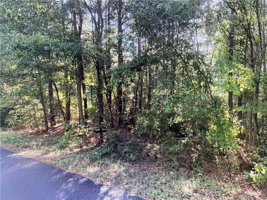 TBD Goldonna Road, Goldonna, LA 71031 - Image #2