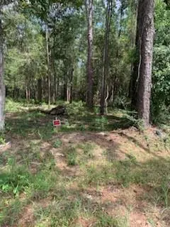 Cypress Street, Lacombe, LA 70445 - #1