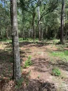 Cypress Street, Lacombe, LA 70445 - #2