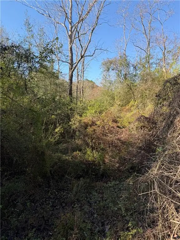 Honeysuckle Road, Bush, LA 70431