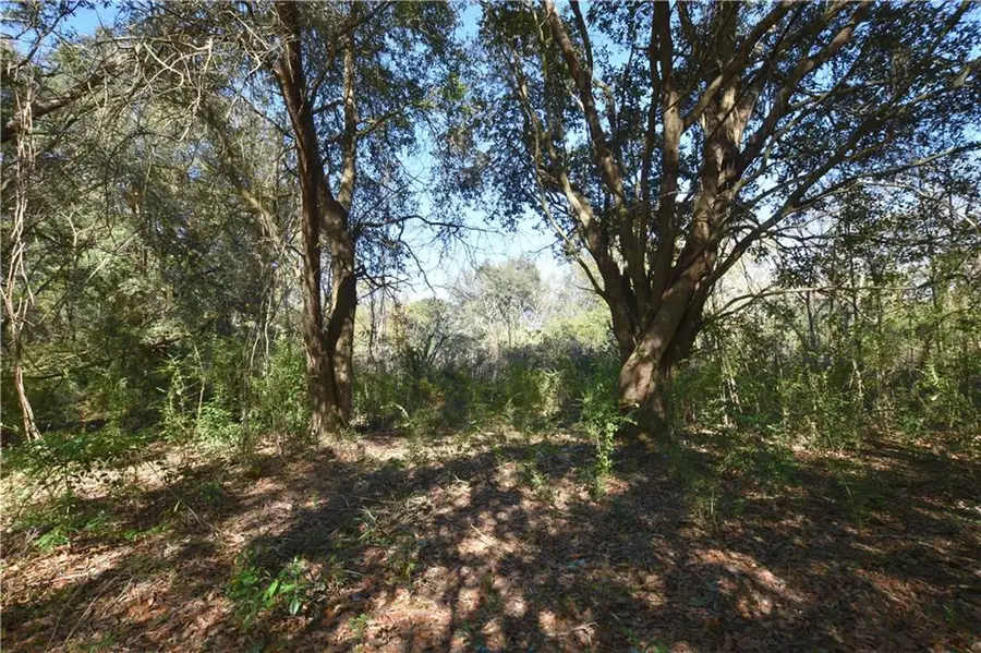 67579 Hwy 41 Highway, Pearl River, LA 70452 - #2