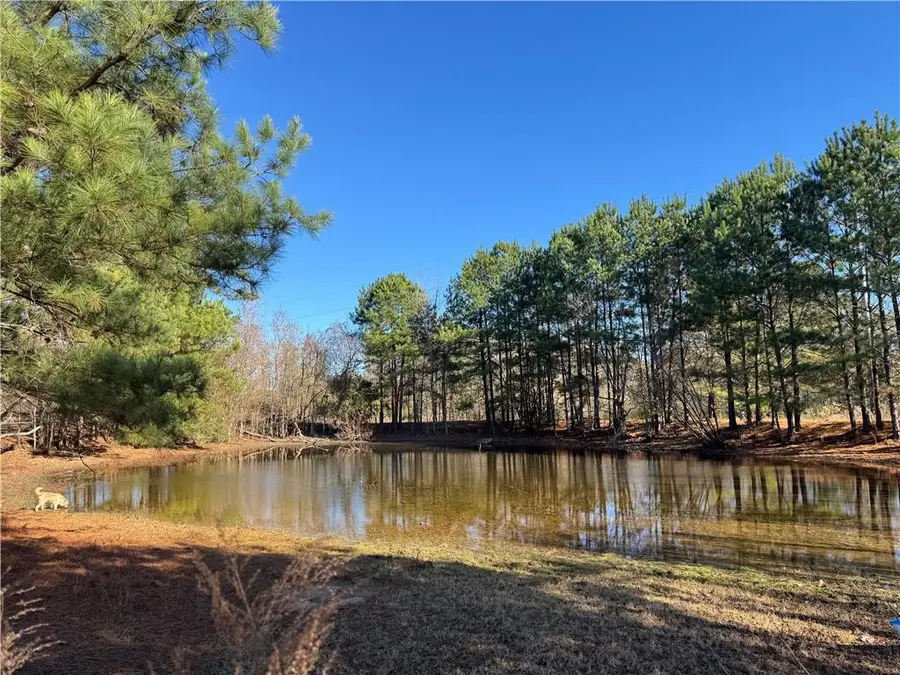 Perry Erwin Road, Franklinton, LA 70438 - Image #3