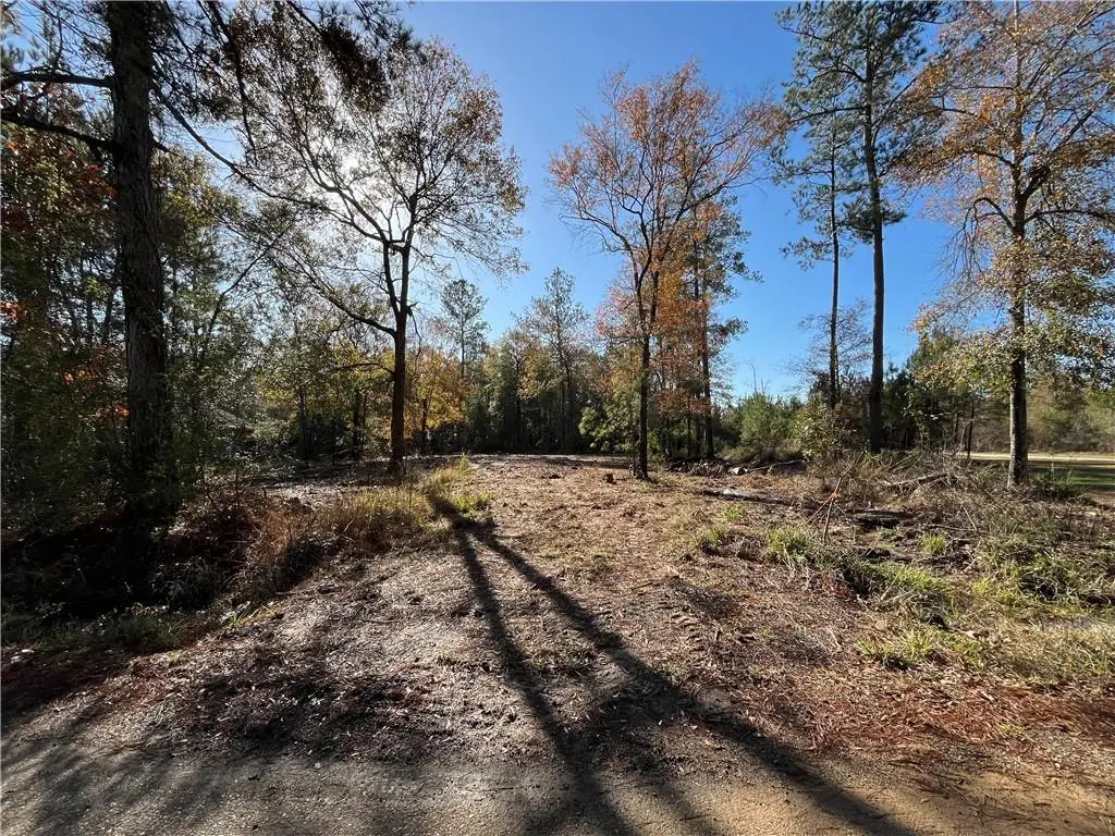 30840 Hubert Stilley Road, Independence, LA 70443 - #1