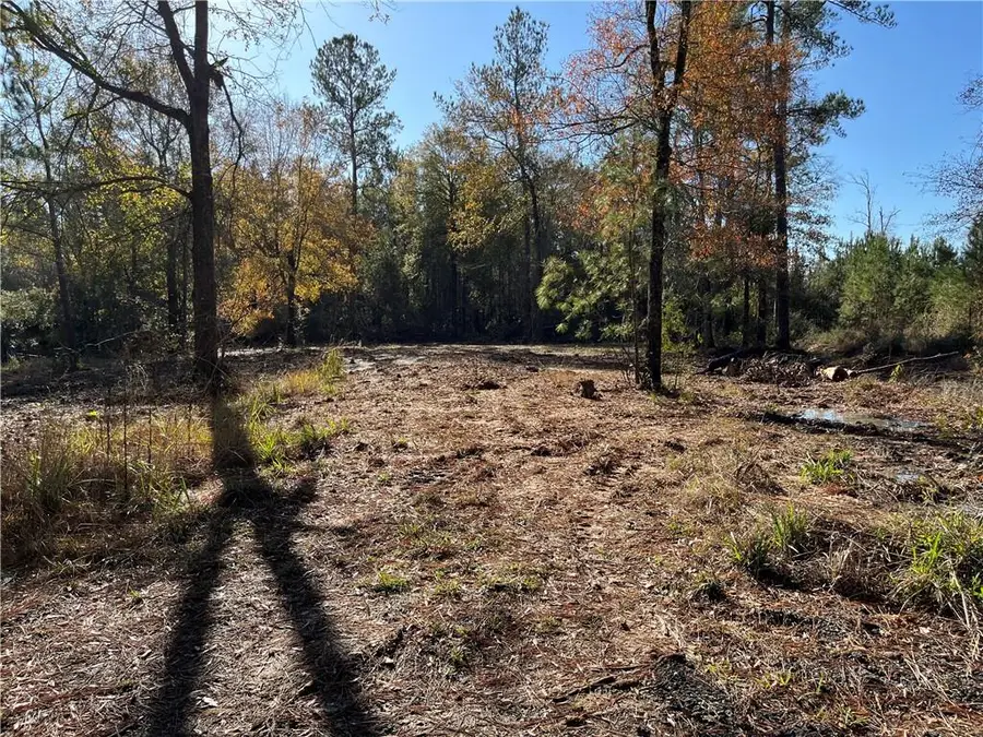 30840 Hubert Stilley Road, Independence, LA 70443 - #3