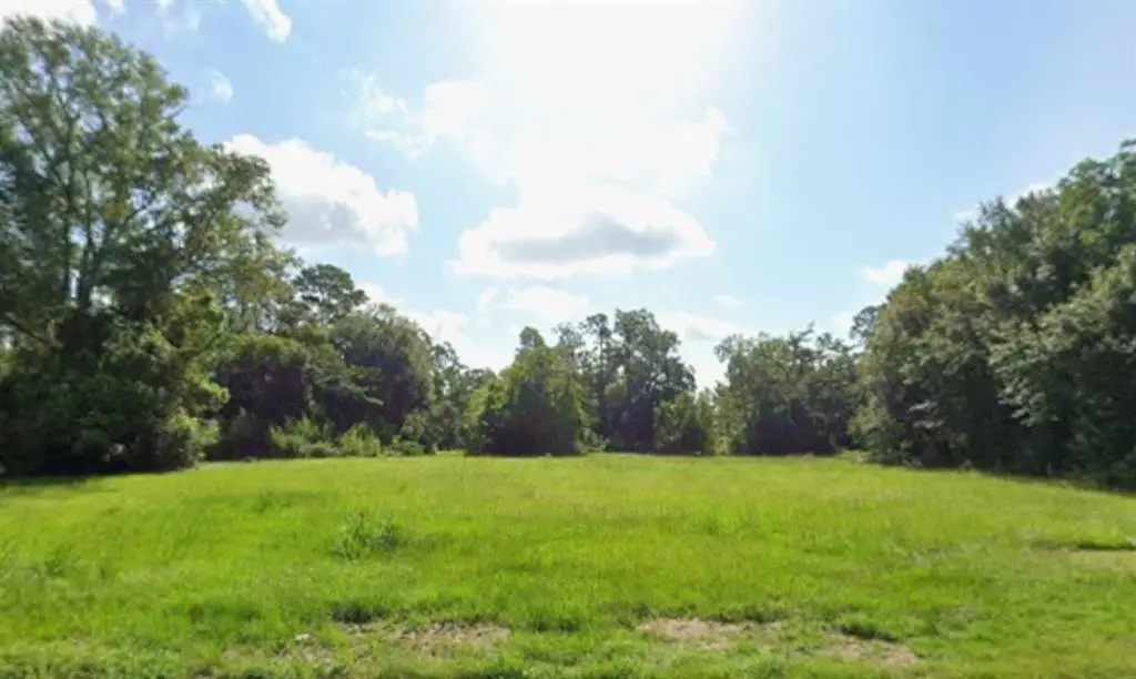 401 J W Davis Drive, Hammond, LA 70403 - #1