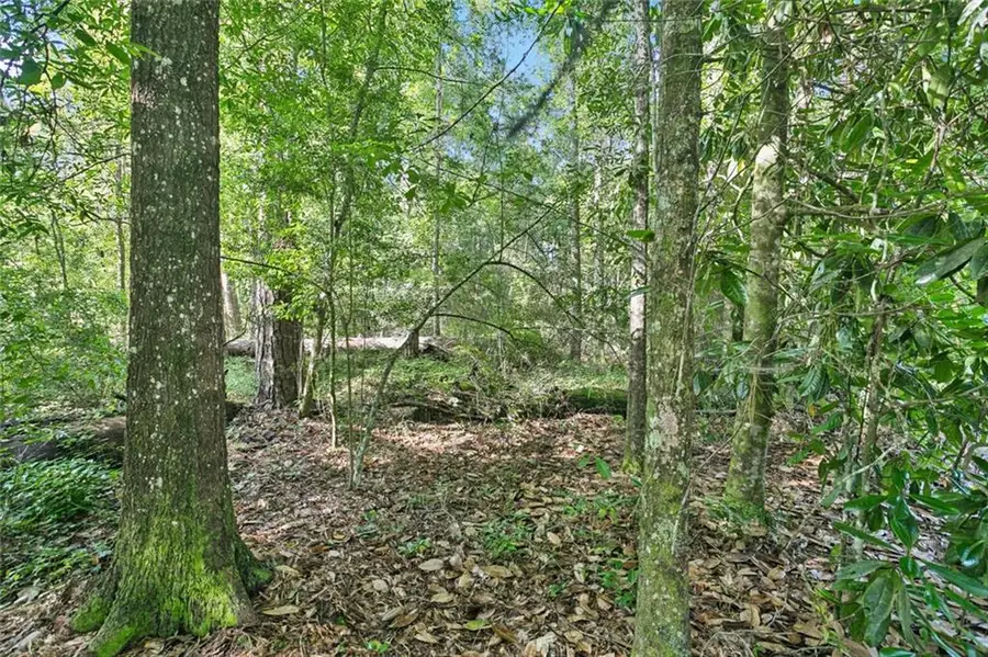 0 Philebar Road, Folsom, LA 70435 - Image #3