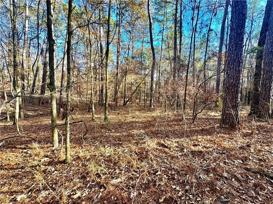 TBD Howard Road, Robeline, LA 71469 - #3