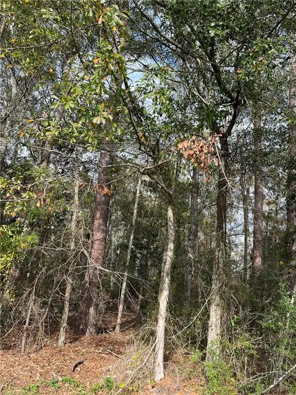 0 General Pershing Street, Mandeville, LA 70448 - Image #1