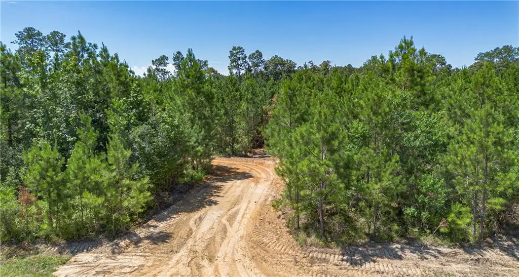 Lot A Ten Mile Road, Pitkin, LA 70656 - Image #1