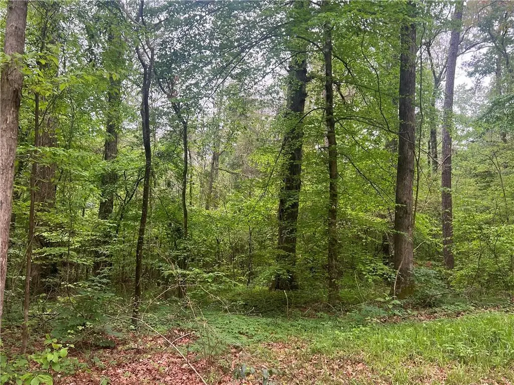 0 Hooper Road, Deville, LA 71328 - Image #1