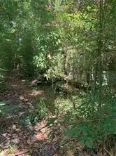 Destin Street, Mandeville, LA 70448 - Image #3