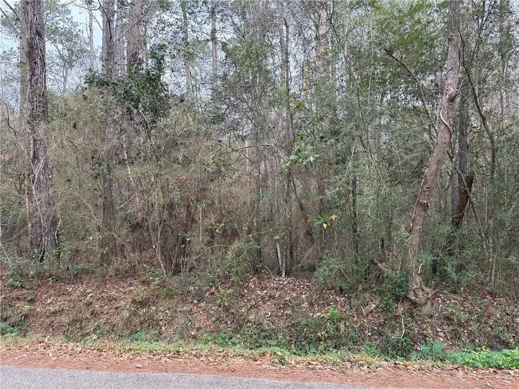 Huey Street, Lacombe, LA 70445 - #1