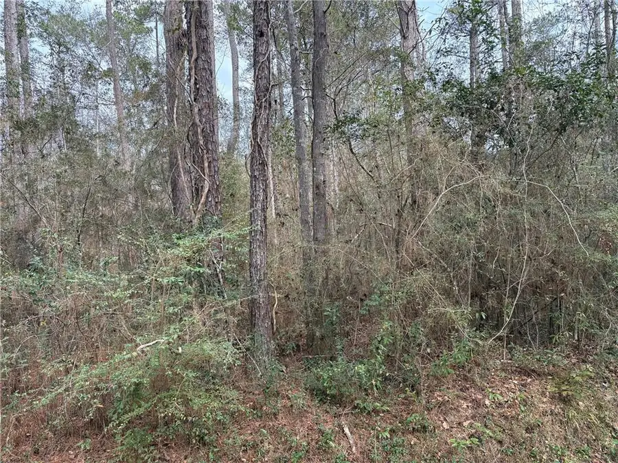 Huey Street, Lacombe, LA 70445 - #3