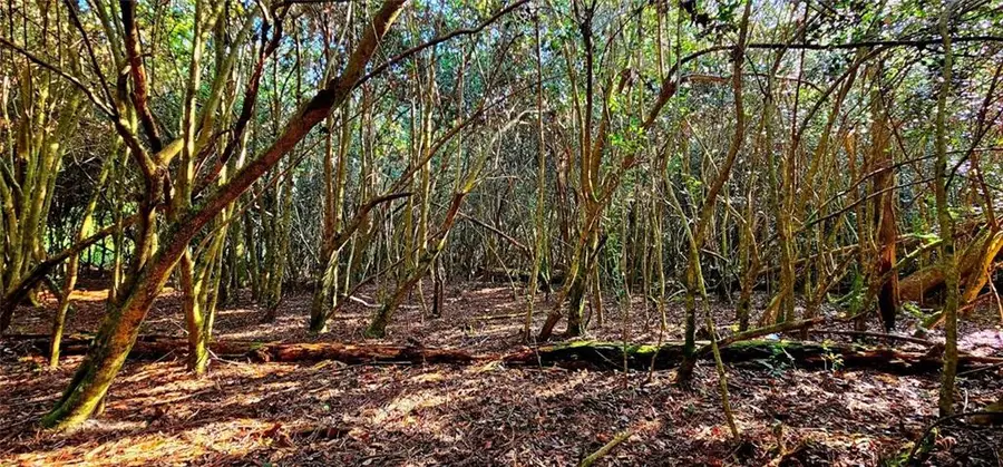 40253 Nicole Elizabeth Drive, Franklinton, LA 70438 - Image #3